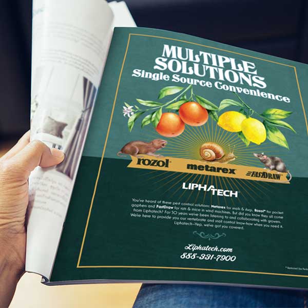 print ad design